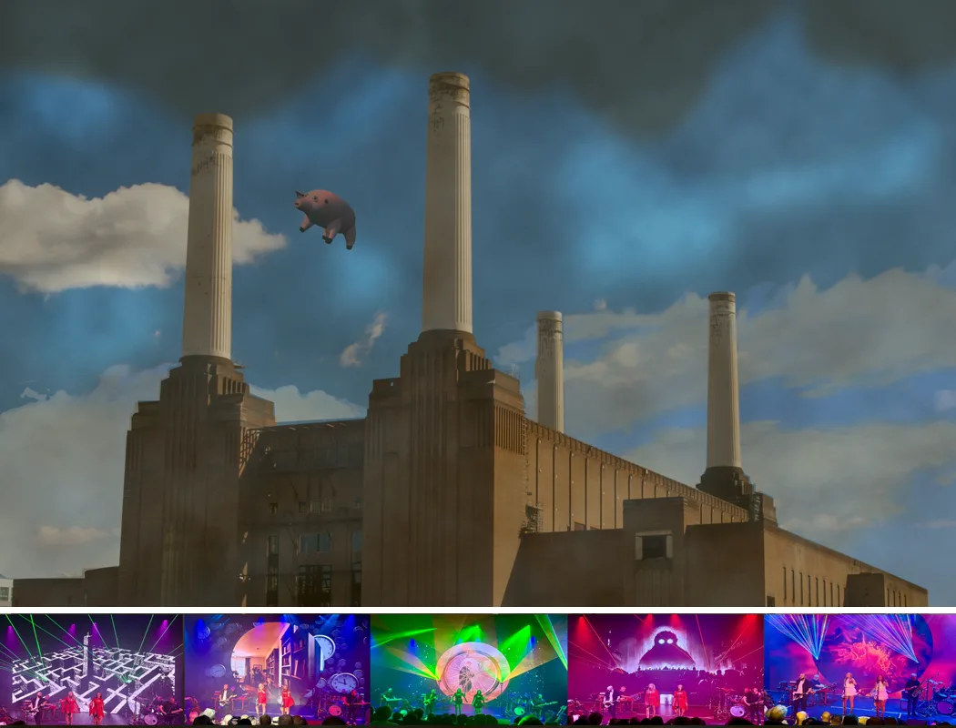 Pink Floydian – Animals Celebrating 50 Years